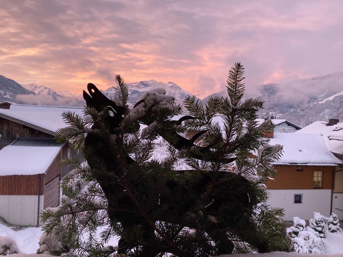 Appartement Pointschneiderhof Maishofen Dış mekan fotoğraf